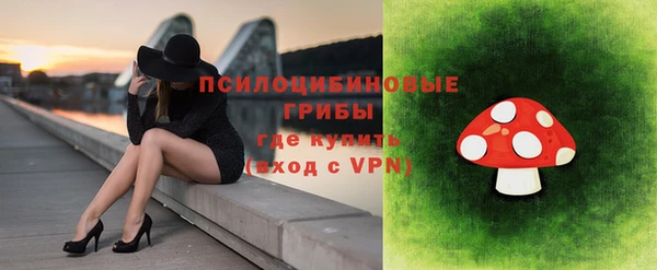 дурь Белокуриха