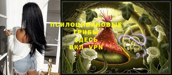 сатива Балахна