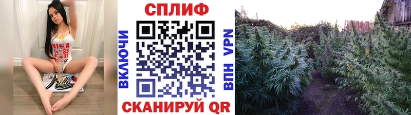 Марихуана планчик  купить   Семилуки 